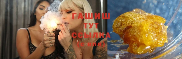 гидра Бронницы