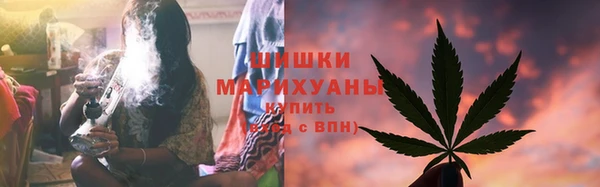 гидра Бронницы