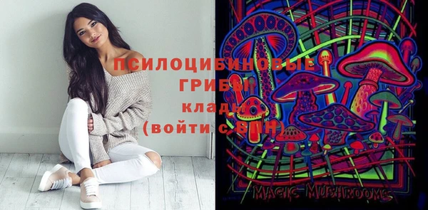 ГАЛЛЮЦИНОГЕННЫЕ ГРИБЫ Верхний Тагил