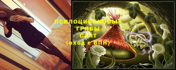 гидра Бронницы