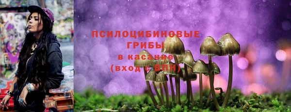 не бодяженный Бородино