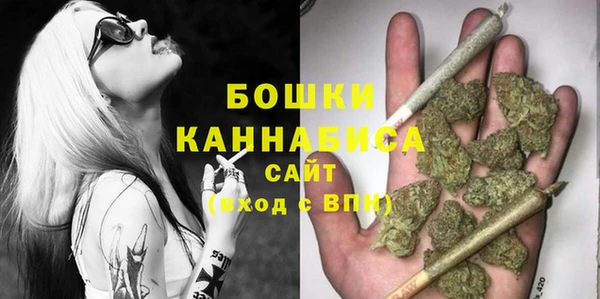 гидра Бронницы