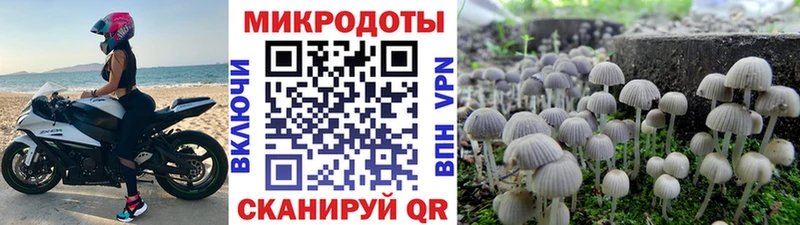 Галлюциногенные грибы мицелий  закладки  Заозёрск 